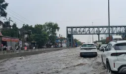 Gurugram News: दो घंटे की बारिश में डूबा गुरुग्राम, जलनिकासी के दावों की खुली पोल