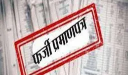 Palwal/Hathin News: फर्जी प्रमाणपत्र से सरपंच बनने के मामले में उच्च न्यायालय ने लिया संज्ञान 