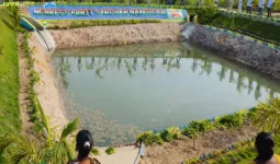 Palwal News : हरियाणा सरकार के ग्रामीण विकास कार्यों से निखर रहा गांव नांगल जाट