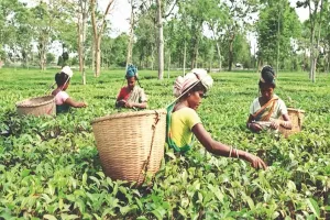 यूपी हरियाणा के बाद अब पश्चिम बंगाल में मजदूरों की आवाज़ बुलंद। 