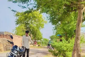 Firozepur Jirkha: पाठखोरी में अंधड़ और बारिश से नुकसान, टीन शेड व कच्चे छप्पर उड़े, 6 बिजली खंभे टूटे