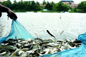 मत्स्य विभाग की योजनाओं से अनुसूचित जाति को मिलेगा आर्थिक संबल