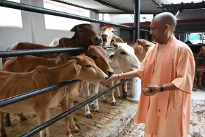 Uttar Pradesh News: भूमि संबंधी प्रकरणों में लापरवाही पर हो सख्त कार्रवाई: मुख्यमंत्री