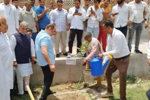 Hodal palwal news: केंद्रीय मंत्री कृष्ण पाल गुर्जर ने एक पेड़ मां के नाम अभियान के तहत किया पौधा रोपण