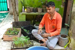 Palwal News : 'पौधा बैंक' में आमजन को निशुल्क वितरण और रोपण हेतु पौधे तैयार किए जा रहे