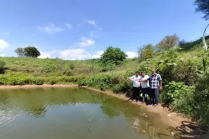 Narnaul News: मंडी अटेली के जोहड़ों में छोड़ी गईं गंबुजिया मछलियां, डेंगू और मलेरिया पर लगेगा ब्रेक