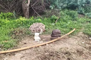Firozepur Jhirka News: 10 दिनों से खराब पड़ी पेयजल मोटर, पानी के संकट से जूझ रहे रावली के ग्रामीण