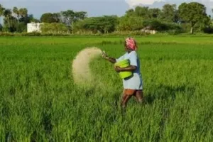Narnaul News: महेंद्रगढ़ और कैथल से शुरुआत, अब किसान एडवांस में बुक कर सकेंगे सब्सिडी वाली खाद