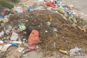 Nuh Tawdu News: सफाई कर्मियों की हड़ताल से बिगड़ रही शहर की सेहत,खांसी-बुखार व त्वचा संबंधी रोगियों की संख्या बढ़ी।