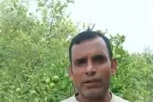 Palwal News : नींबू की बंपर पैदावार से संवरी किसान नरेश महोली की तकदीर, बागवानी बनी खुशहाली का जरिया