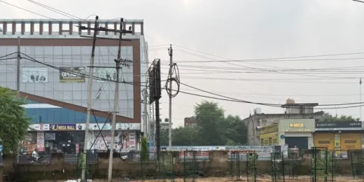 Narnaul News: सीएम पौधे लगाकर गए तो पीछे से रखवाली करना भूल गया प्रशासन 