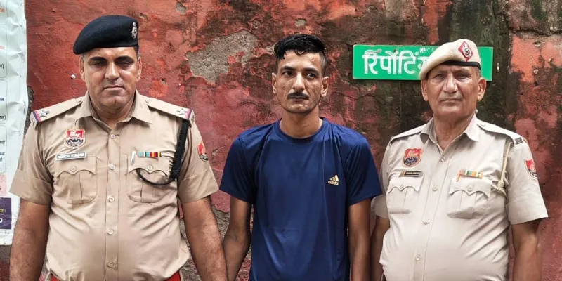 Palwal /Hodal News: अवैध गोवंश तस्करी में एक आरोपी पर कसा शिकंजा, 2 गोवंश कराए मुक्त