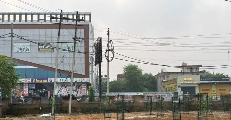 Narnaul News: सीएम पौधे लगाकर गए तो पीछे से रखवाली करना भूल गया प्रशासन 