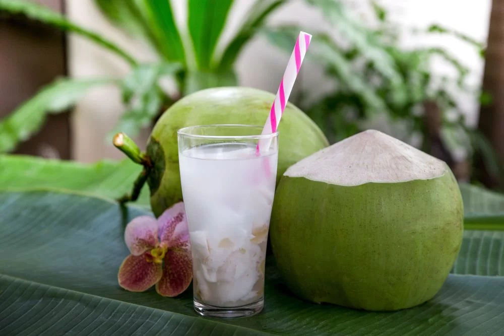 coconut