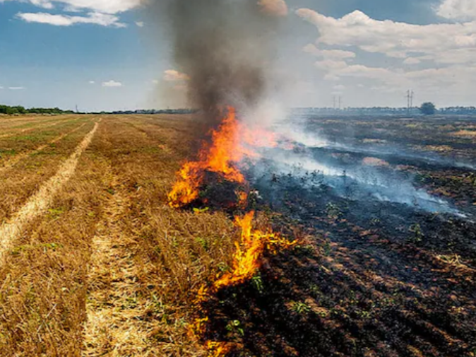 screenshot-2024-10-29-131658_1730188043