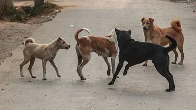 WhatsApp Image 2025-11-08 at 3.27.41 PM