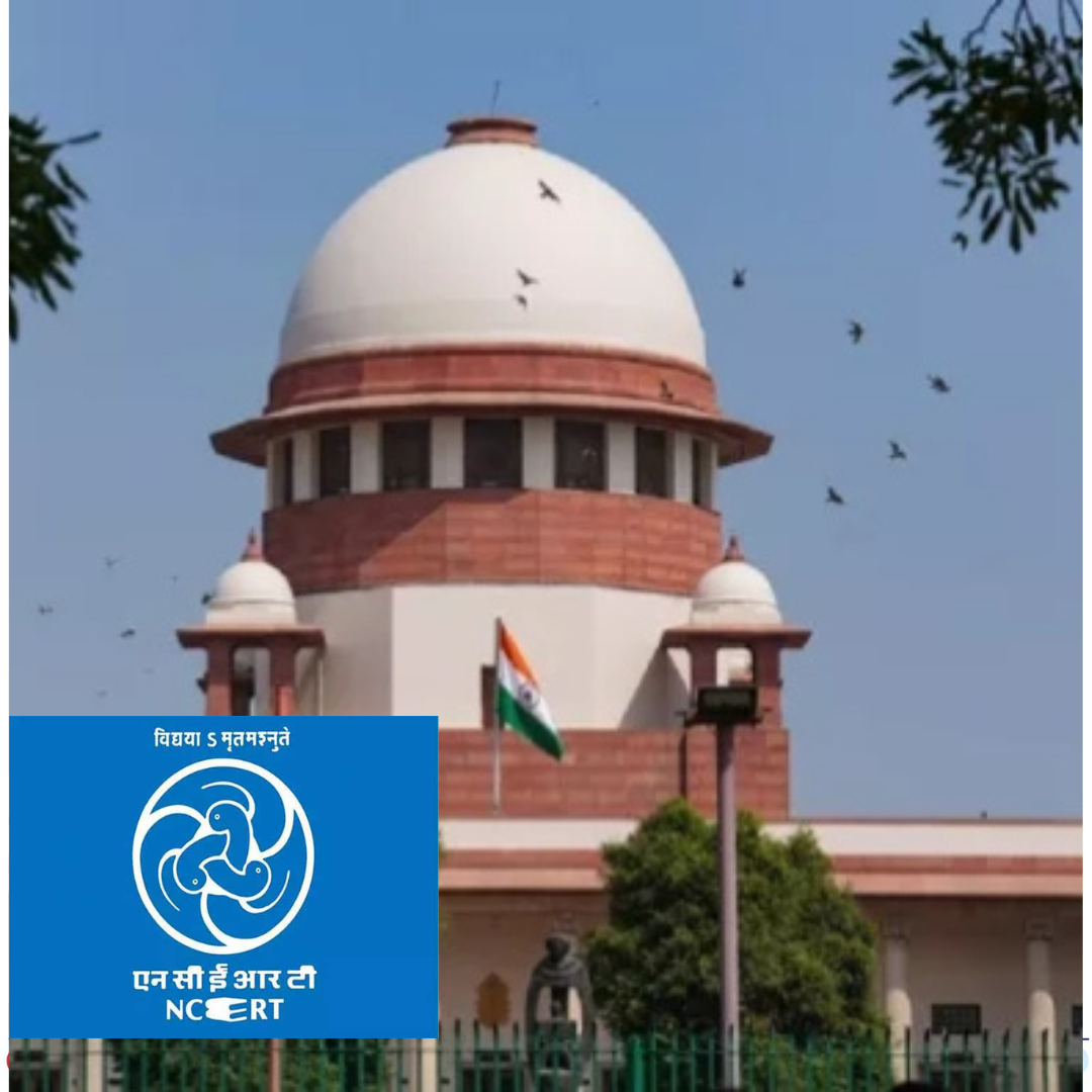 1_20260227_000311_0000