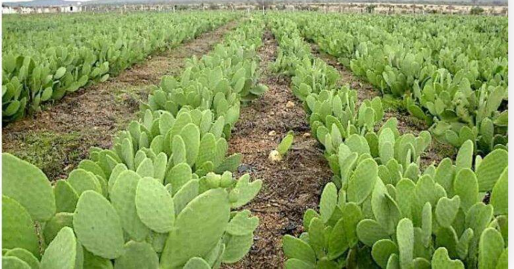 Screenshot 2026-04-09 144410