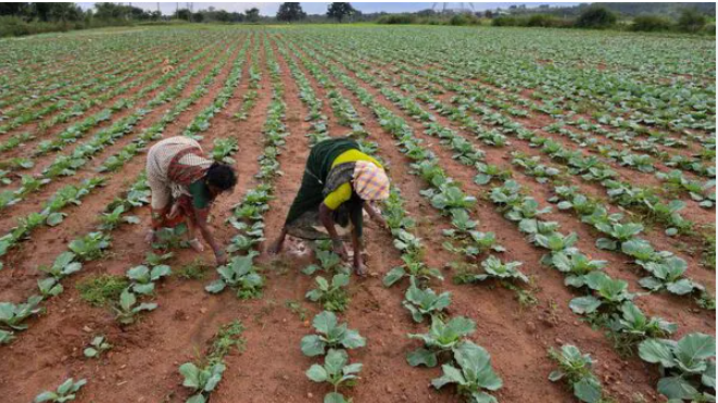 Screenshot 2026-04-13 120758