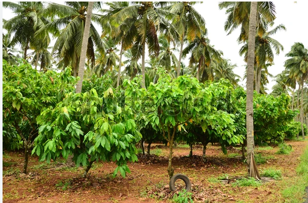 Screenshot 2026-04-27 123237