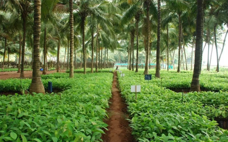 Screenshot 2026-04-27 123306