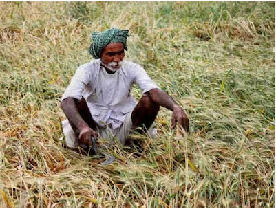 Screenshot 2026-04-28 120557