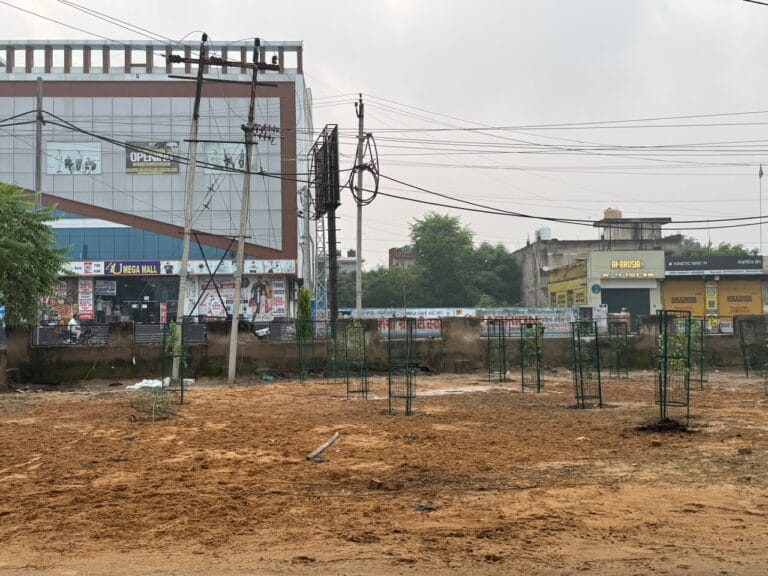 Narnaul News: सीएम पौधे लगाकर गए तो पीछे से रखवाली करना भूल गया प्रशासन