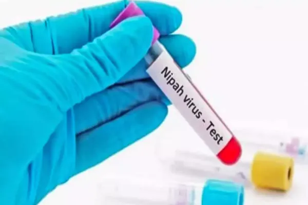 कोरोना के बाद भारत में निपाह वायरस का बढ़ता खतरा, WHO ने किया अलर्ट