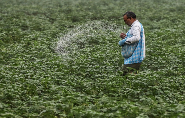 भारतीय खेती पर पड़ा ईरान-अमेरिका युद्ध का असर, यूरिया की कीमतों में 84 प्रतिशत तक उछाल। 