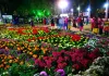 मार्च माह के दूसरे सप्ताह में आयोजित होगा फ्लावर फेस्टिवल