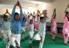 Palwal News : शहीद रामवीर सिंह राजकीय विद्यालय सीहा में योग अभ्यास कार्यक्रम किया