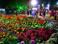 मार्च माह के दूसरे सप्ताह में आयोजित होगा फ्लावर फेस्टिवल