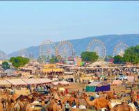 पुष्कर मेले में 23 करोड़ का भैंसा, 15 करोड़ का घोड़ा