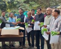 रेवाड़ी और कोसली में पुष्प अभियान के तहत वितरित किए फूलों के पौधे  