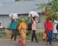 पश्चिम बंगाल में SIR का असर ,बांग्लादेशी डरकर अपने देश लौटने लगे | 