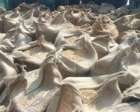 7 करोड़ के नुकसान में ‘चूहे’ बने आरोपी! छत्तीसगढ़ में धान घोटाले ने सिस्टम को कटघरे में खड़ा किया