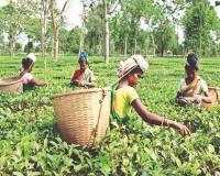 यूपी हरियाणा के बाद अब पश्चिम बंगाल में मजदूरों की आवाज़ बुलंद। 