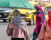 गर्मियों में ड्राई स्किन की करें देखभाल नहीं तो बढ़ सकती है  पिग्मेंटेशन 