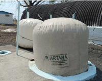 अब एलपीजी की जगह लेगी कैक्टस से बनी गैस !