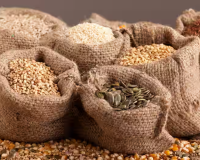 नींव मजबूत तो फसल भरपूर, खेती में बीजों की भूमिका