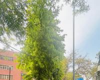 अभाविप ने महाविद्यालय से संबंधित समस्याओं को लेकर 30 से अधिक महाविद्यालयों में किया आंदोलन