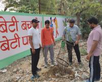 मिशन प्रकृति बचाओ पर्यावरण सचेतक सेवा ट्रस्ट पलवल ने साइकिल सैर - पेड़ों की खैर' अभियान चलाया