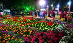 मार्च माह के दूसरे सप्ताह में आयोजित होगा फ्लावर फेस्टिवल
