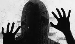 फ्रांसीसी रिटायर्ड शिक्षक  ने 89 नाबालिगों के साथ किया रेप :50 साल में भारत सहित 9 देशों की लड़कियों का किया शोषण 