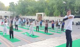Palwal News: आयुष विभाग पलवल द्वारा पीटीआई डीपीआई के लिए  योग प्रोटोकॉल कार्यक्रम का शुभारंभ