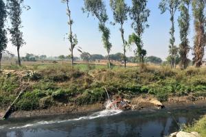 गुड़गांव कैनाल का पानी पनीर फैक्ट्रियों से हो रहा जहरीला, किसानों की फसलें हो रही खराब