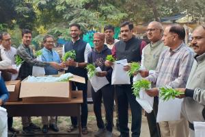 रेवाड़ी और कोसली में पुष्प अभियान के तहत वितरित किए फूलों के पौधे  