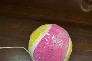 जिला कारागार फरीदाबाद में नशीला पदार्थ पहुंचाने की बड़ी साजिश नाकाम