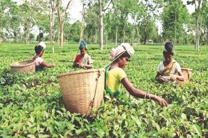 यूपी हरियाणा के बाद अब पश्चिम बंगाल में मजदूरों की आवाज़ बुलंद। 