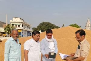 जिले में रबी फसलों की खरीद जारी , अब तक मंडियों में अब तक 30137 मीट्रिक टन गेहूं की आवक हुई